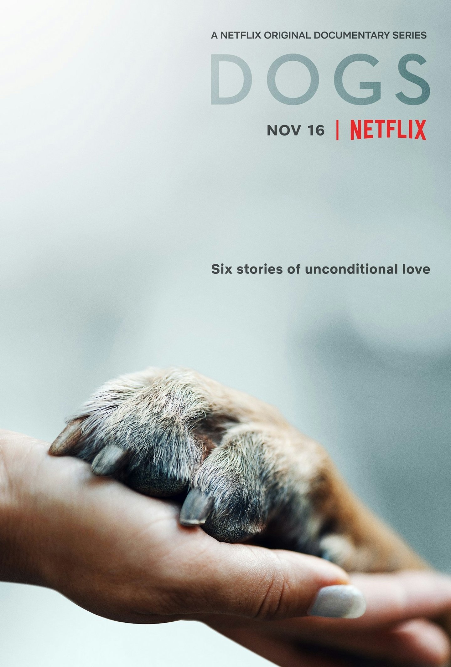 Netflix Dogs documentary