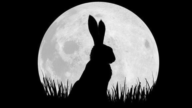 Rabbits Fight For Freedom In The Trailer For The New Watership Down ...