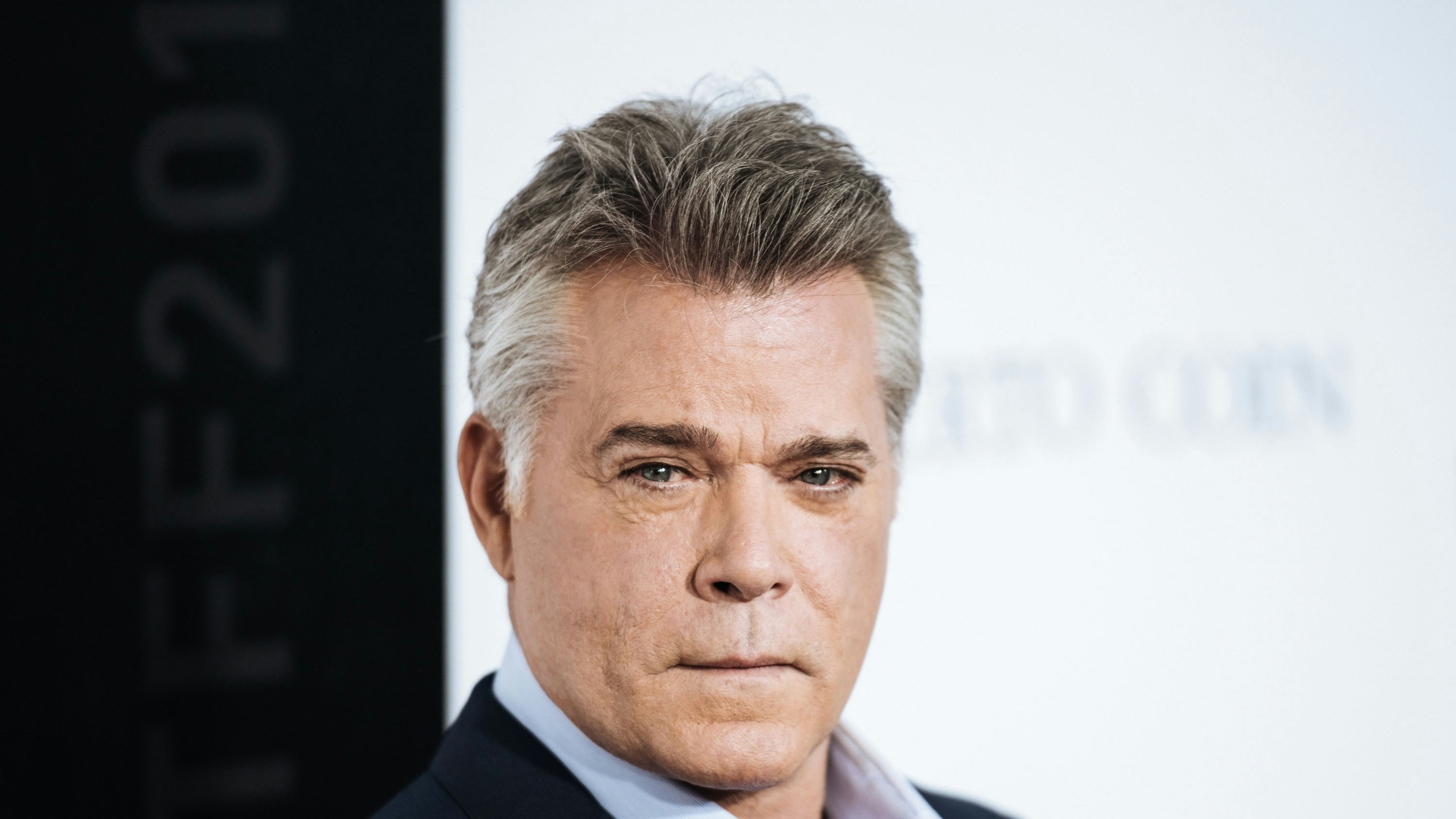 the many saints of newark ray liotta
