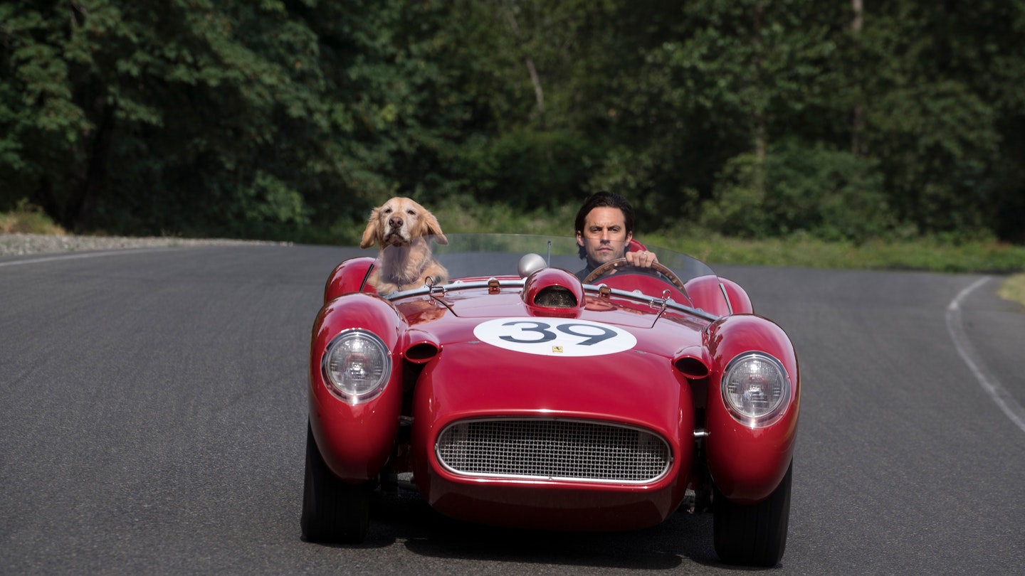 The Art Of Racing In The Rain Review | Movie - Empire