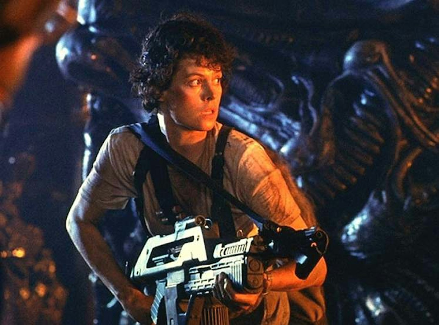 Ripley