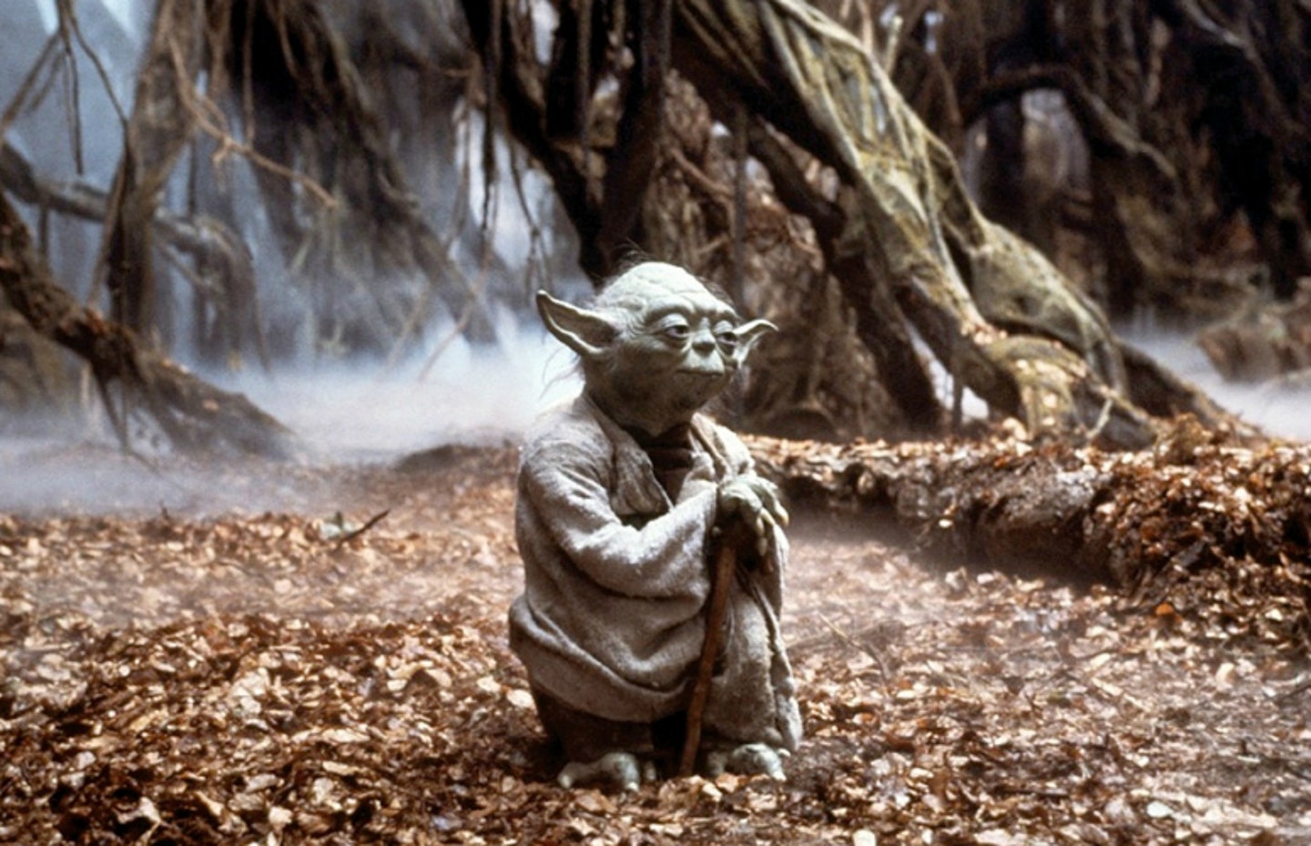 Yoda still