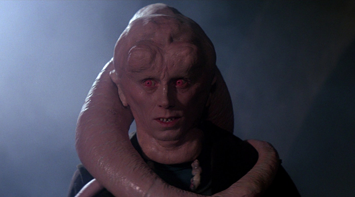 Bib Fortuna