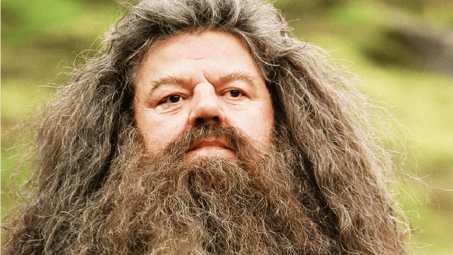 Neckbeard Actors Actors With Beards In Movies 60 Photos - Moonagedaydream.film
