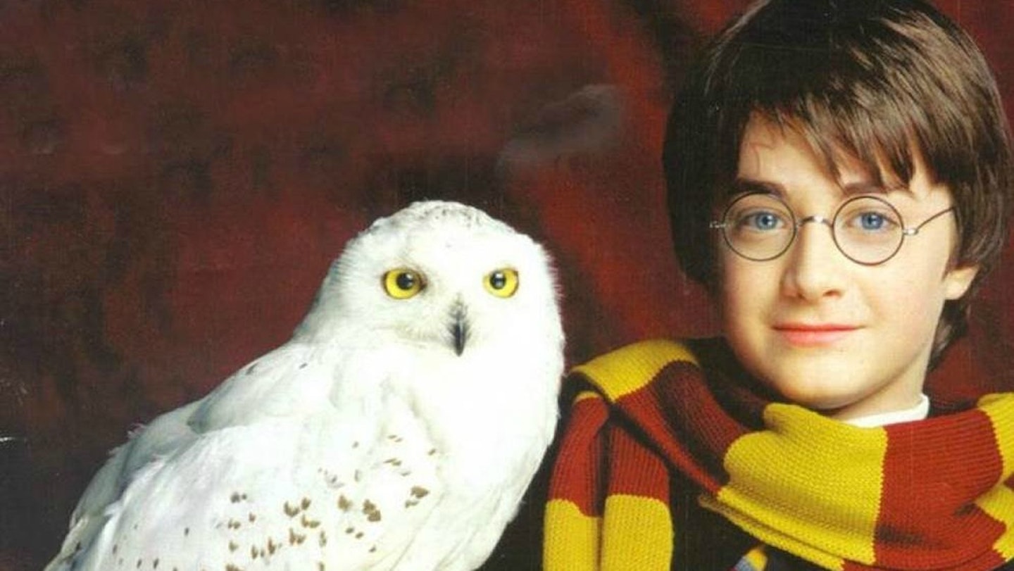 Hedwig Harry Potter