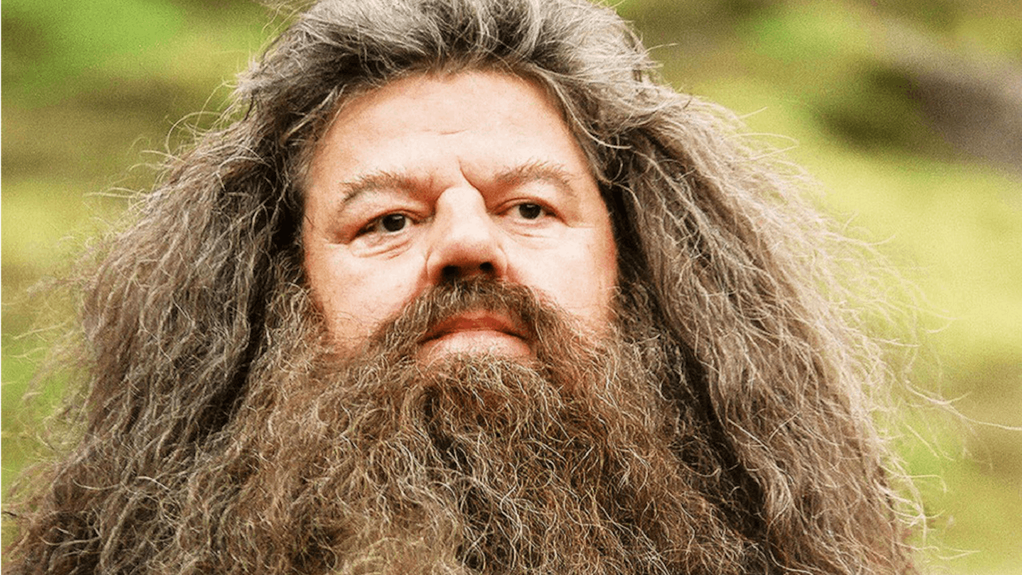 famous movie characters with beards
