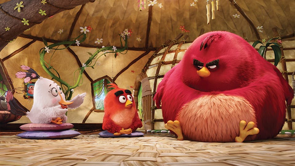 The Latest Angry Birds Trailer Is Online Movies Empire