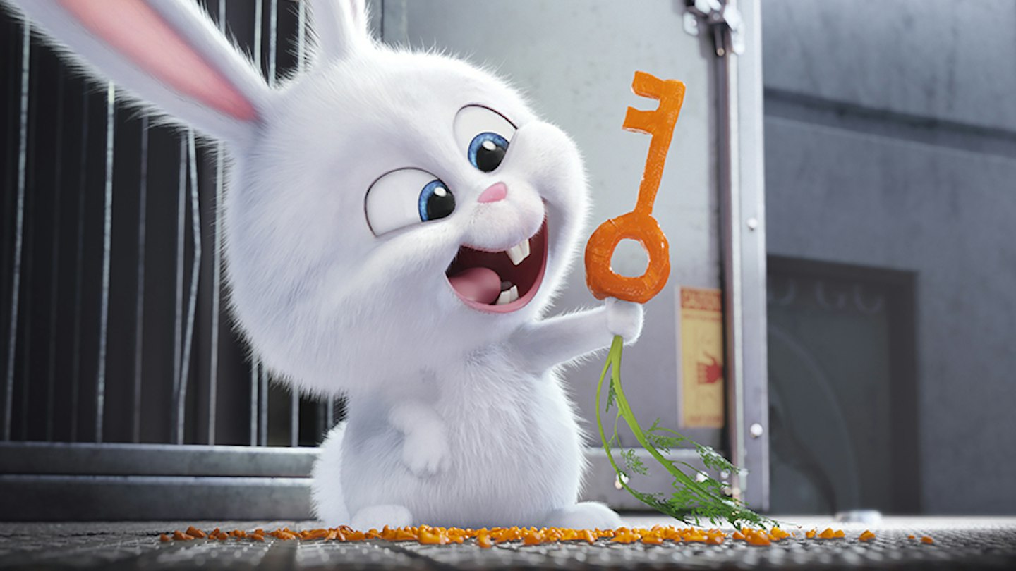 A kis kedvencek titkos élete (kritika) 3 Secret Life of Pets