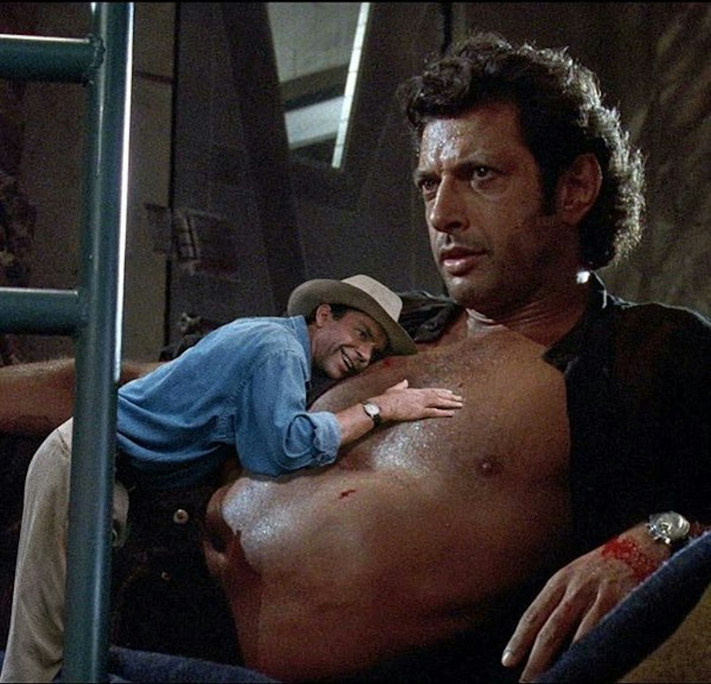 Jeff Goldblum – Jurassic Park meme