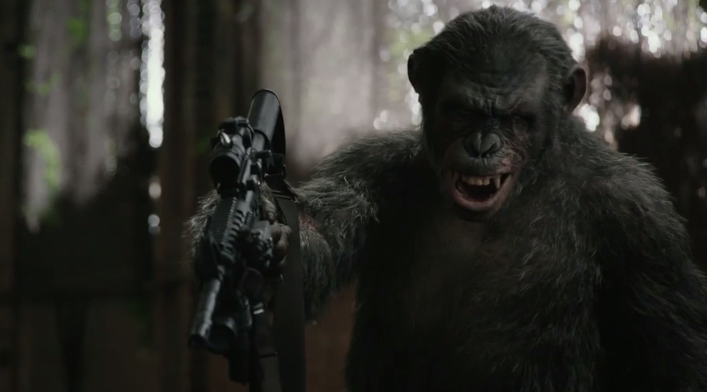 Dawn Of The Apes - Koba