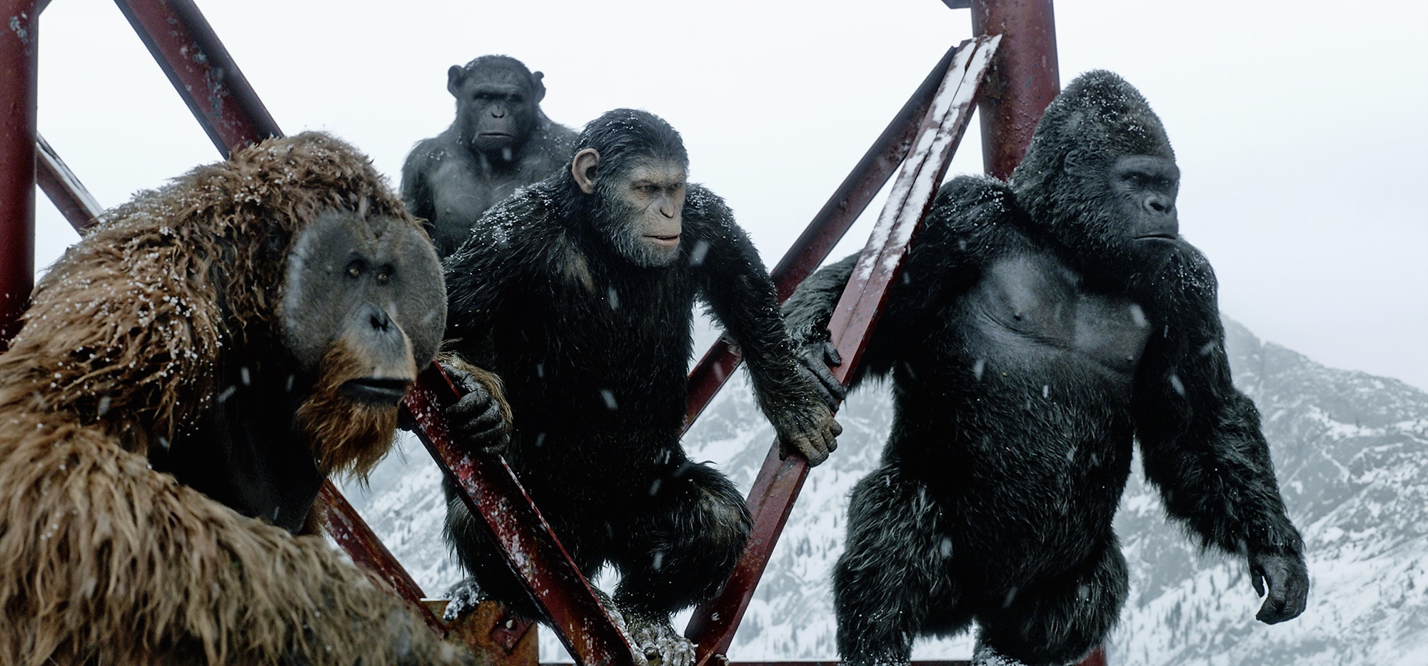 War For The Of The Apes Review Movie Empire