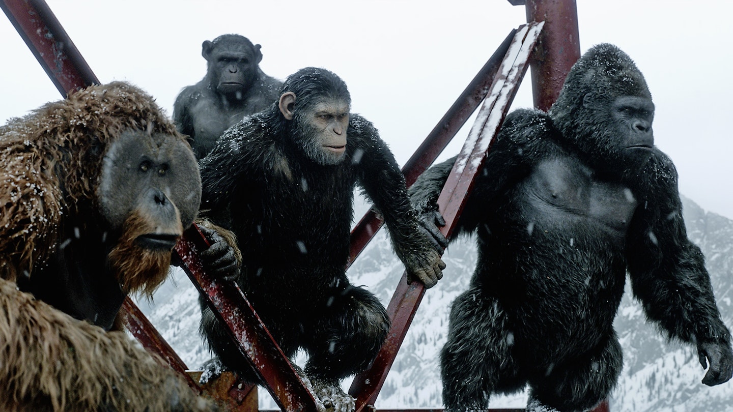 War For The Of The Apes Review Movie Empire