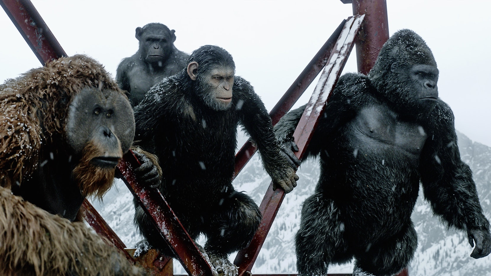 War For The Of The Apes Review Movie Empire