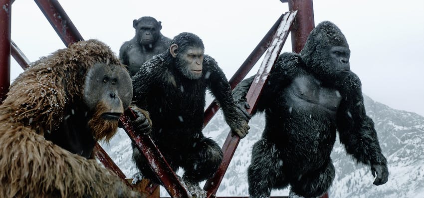 rise of the planet of the apes rocket
