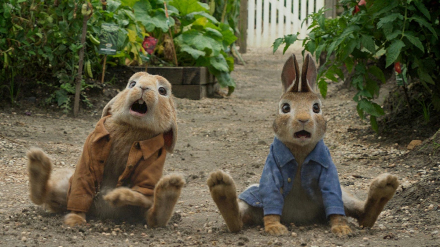 Let Peter Rabbit Play in the Garden