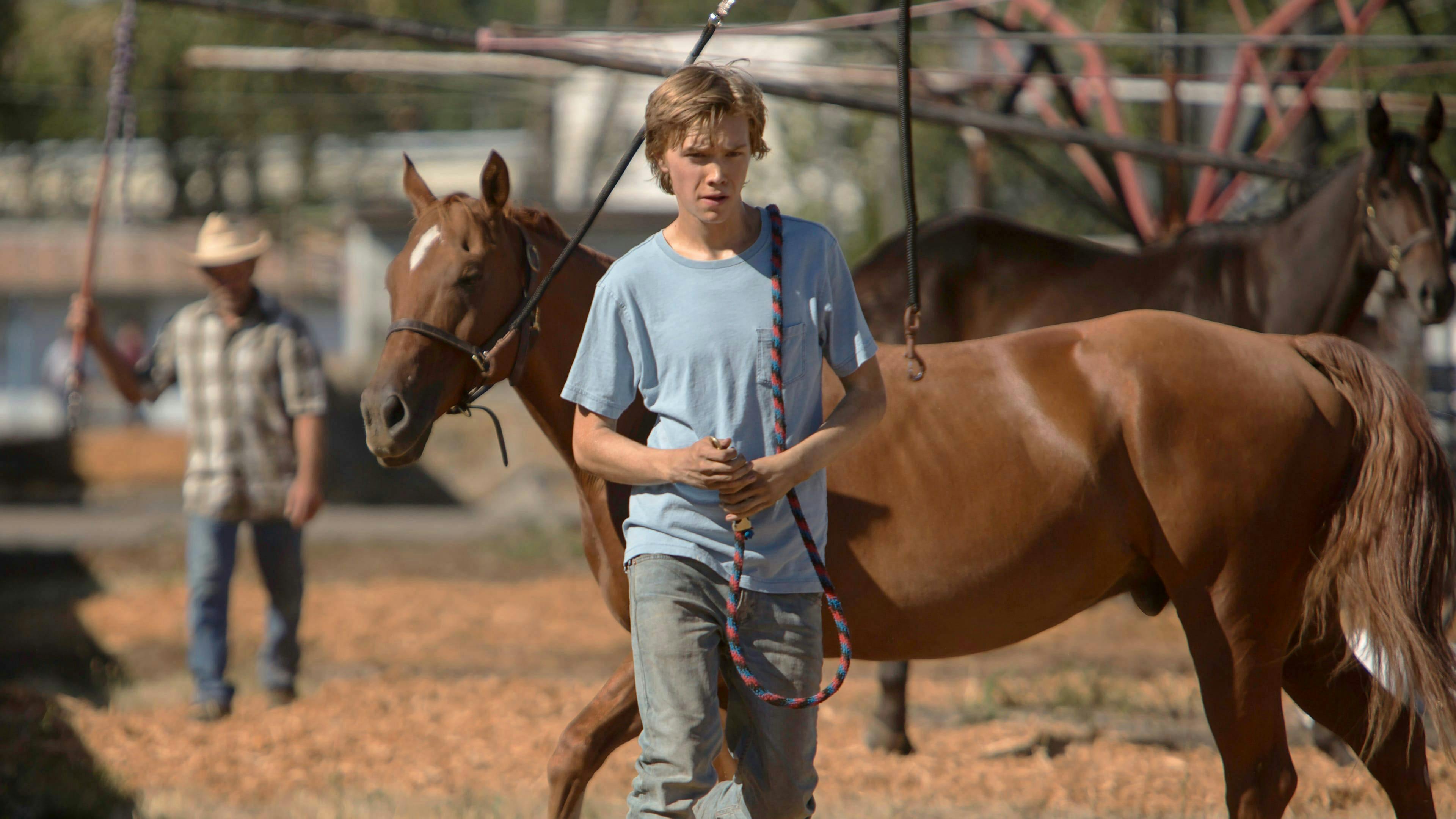 Lean On Pete Review Movie Empire