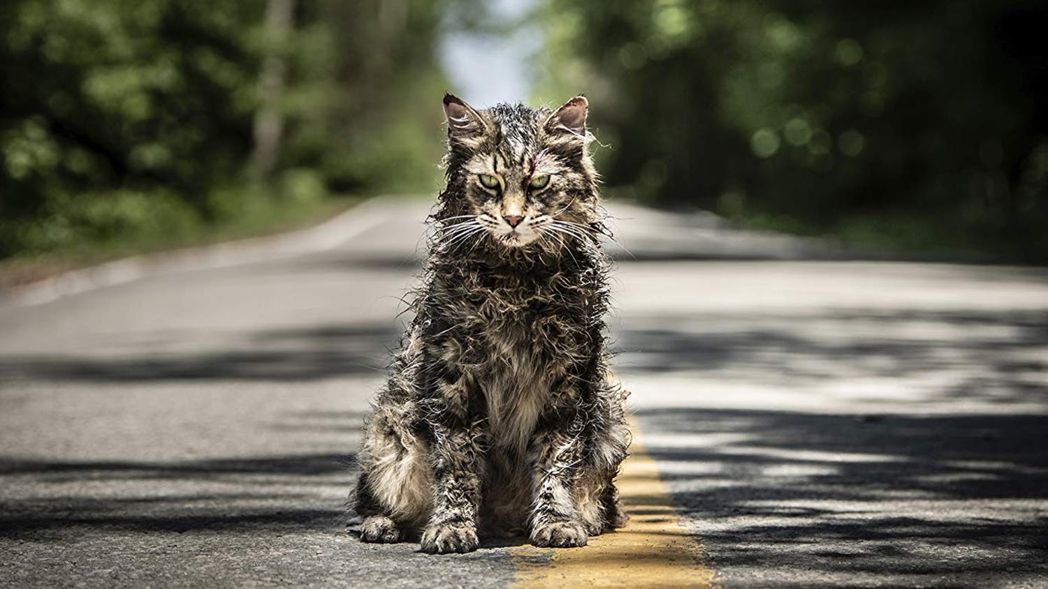 Watch pet discount sematary 2019 free