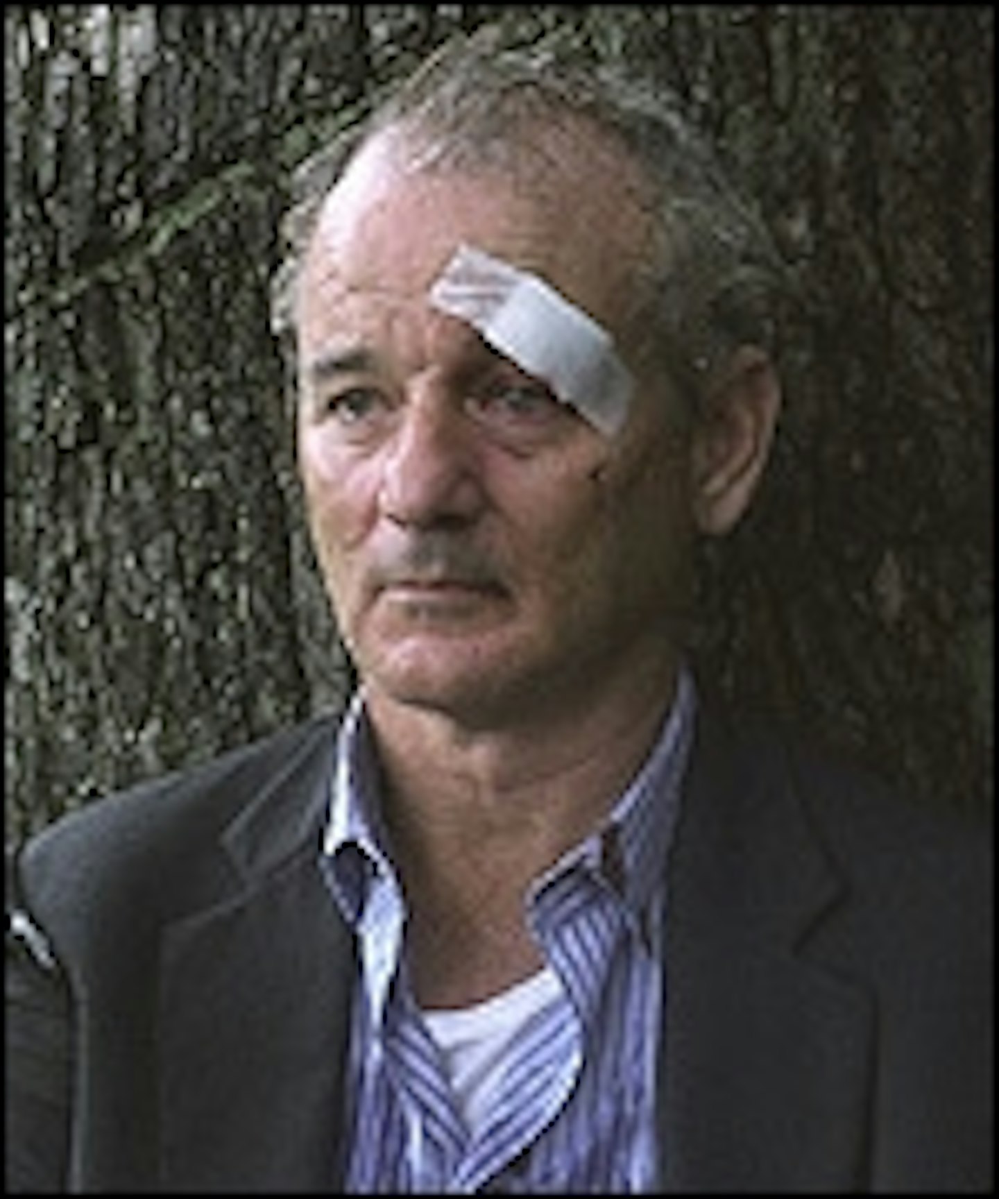 Bill Murray To Star In City Of Ember