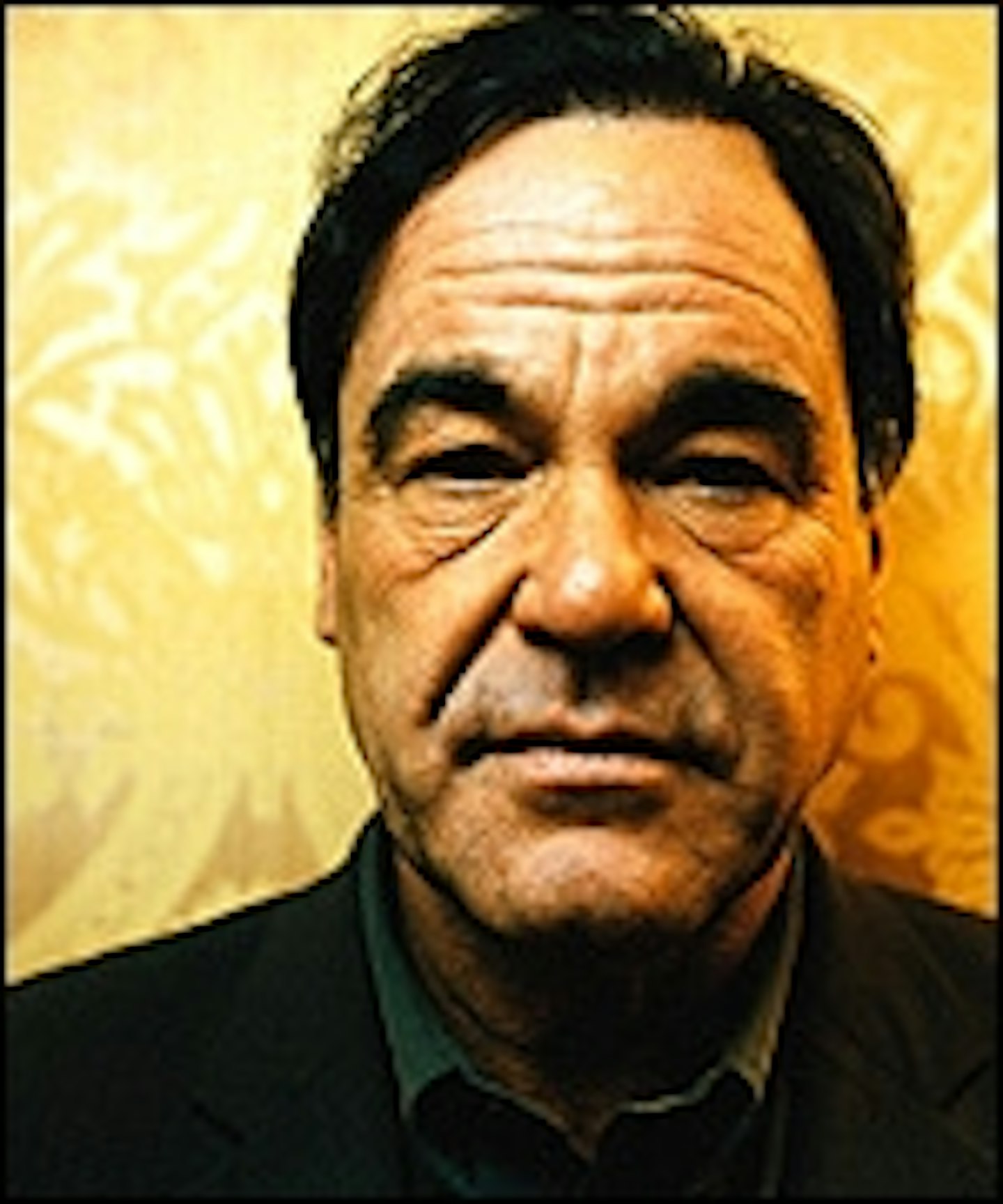 Oliver Stone Making Travis McGee? 