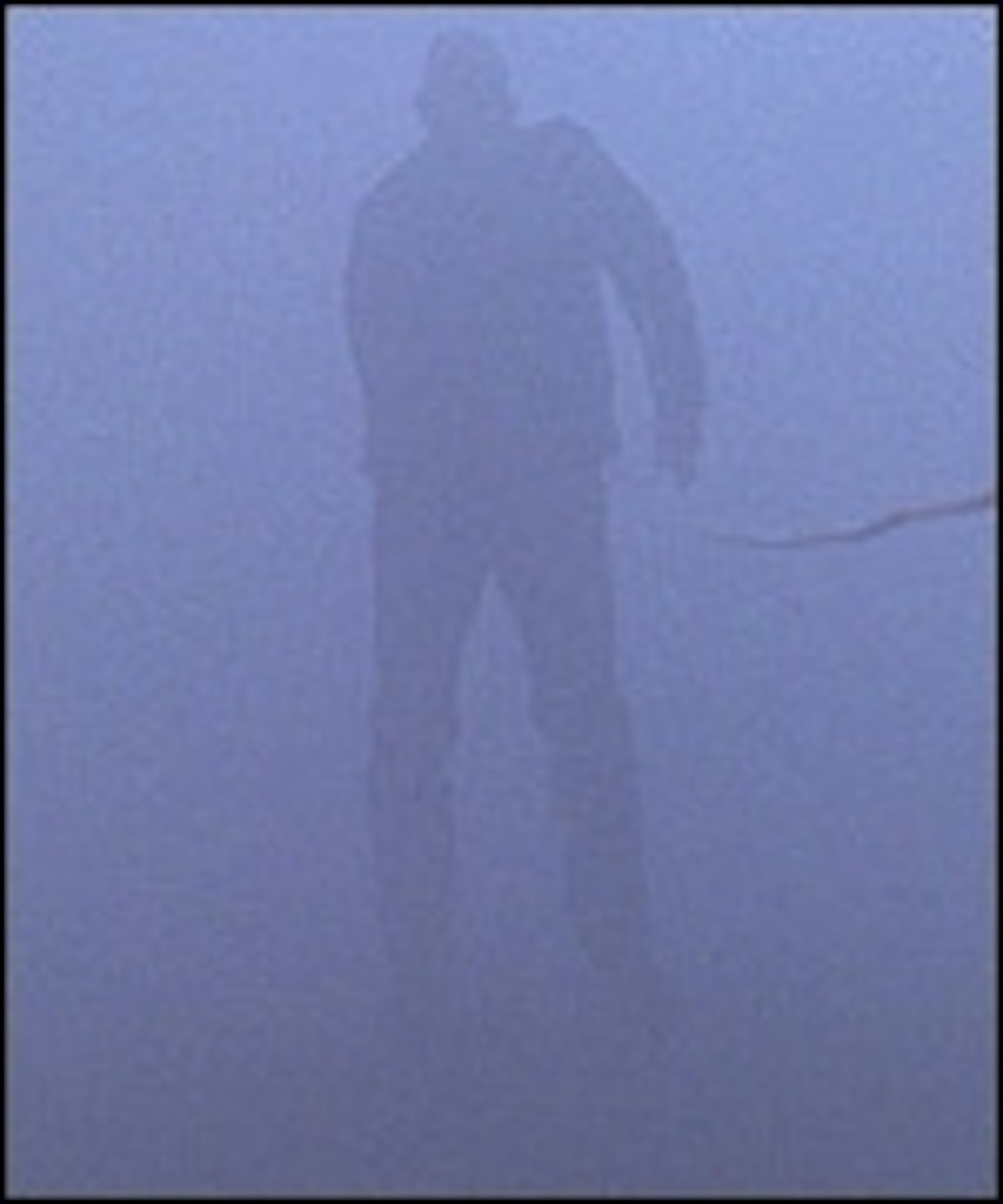 The Mist Trailer Online