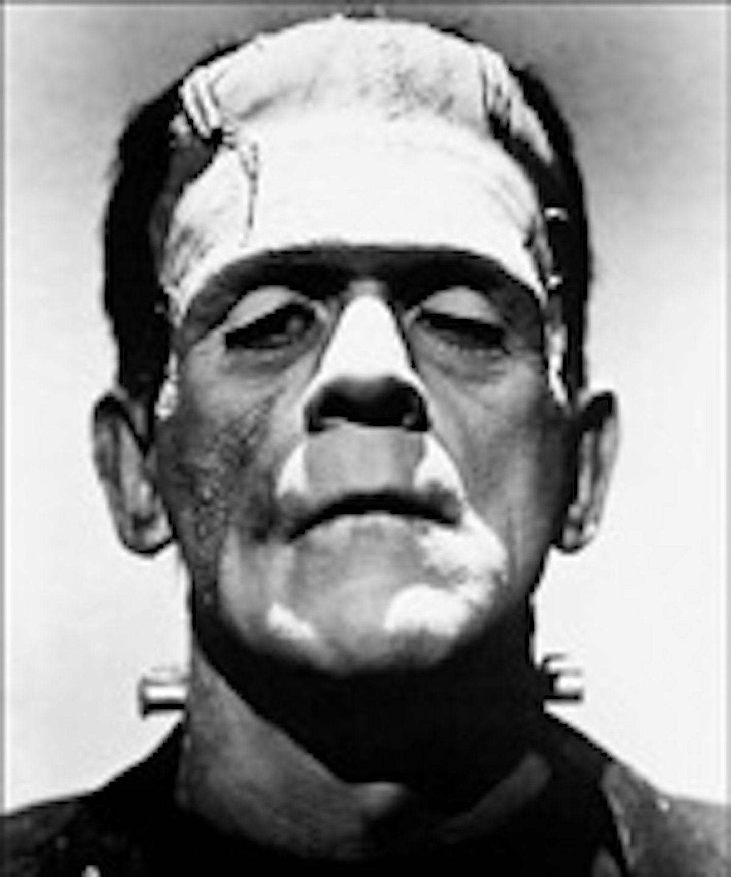 Frankenstein's Casebook Opened