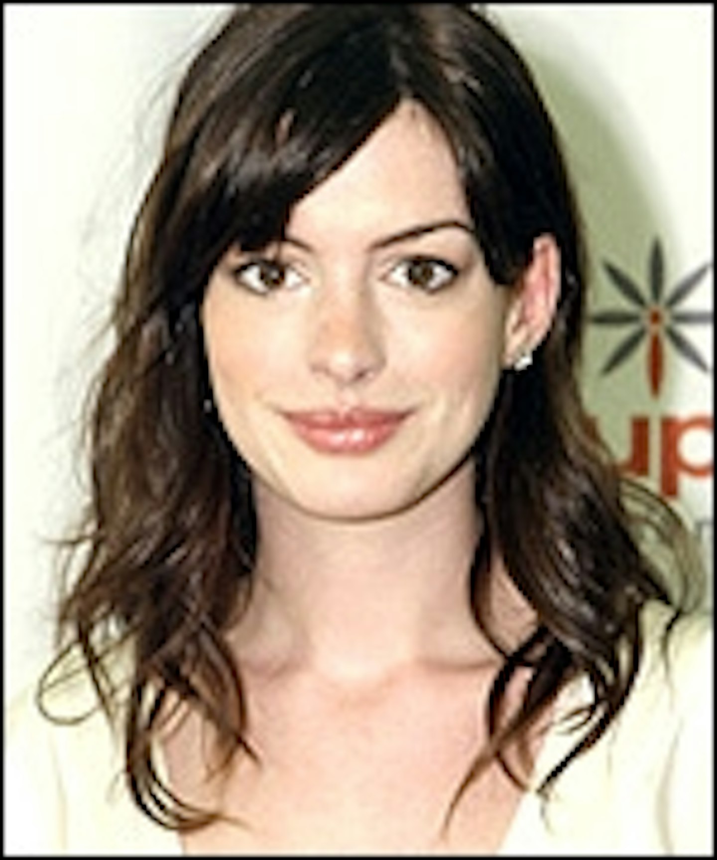 Anne Hathaway Lines Up The Fiance