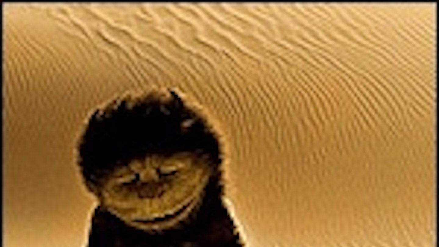 Where The Wild Things Are Trailer Online | Movies | Empire