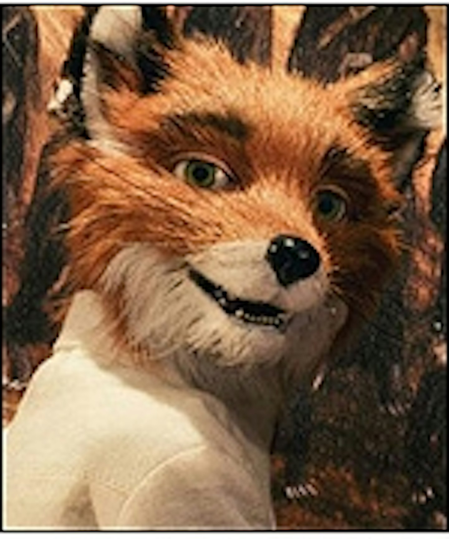 Fantastic Mr Fox Images Released