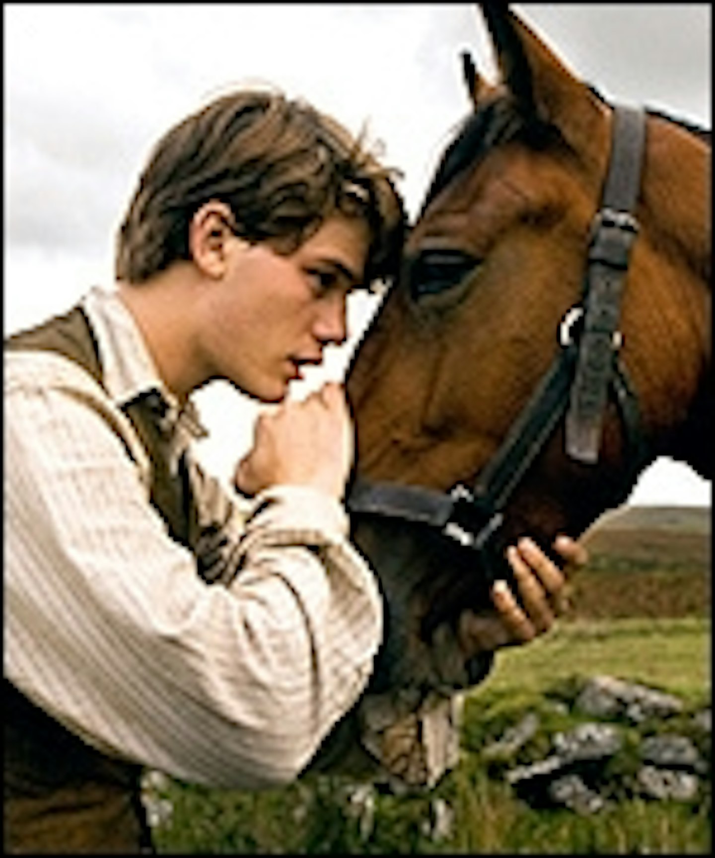 First Look At Spielberg's War Horse