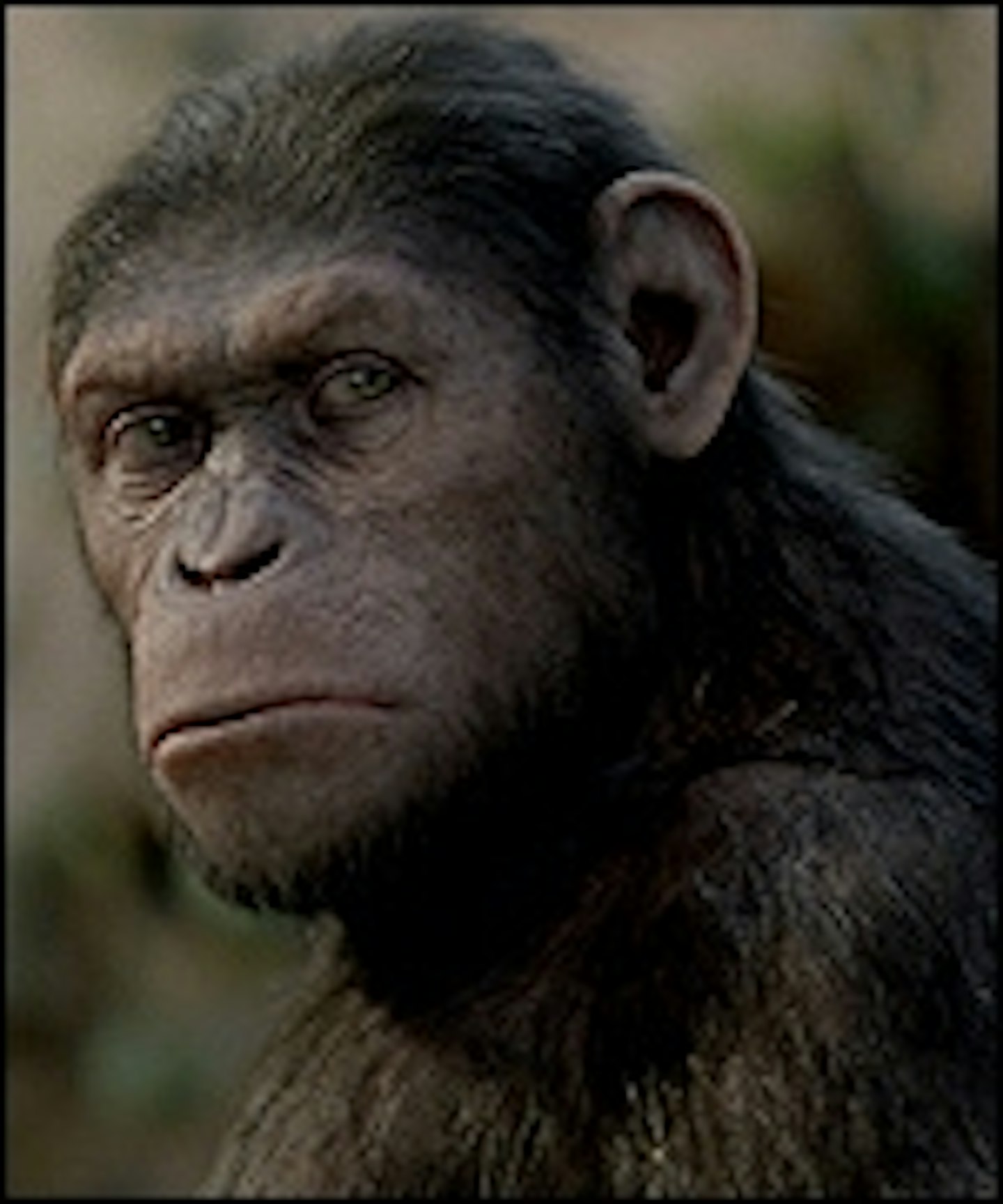 Apes Sequel Set For 2014