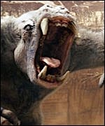 New John Carter Image Online | Movies | Empire
