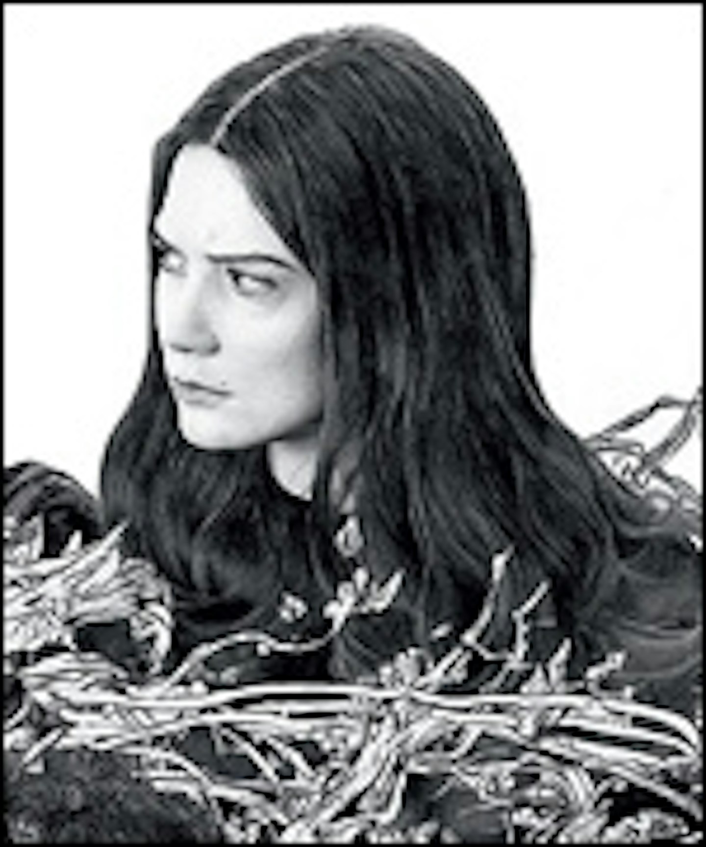 New Stoker Poster And Video