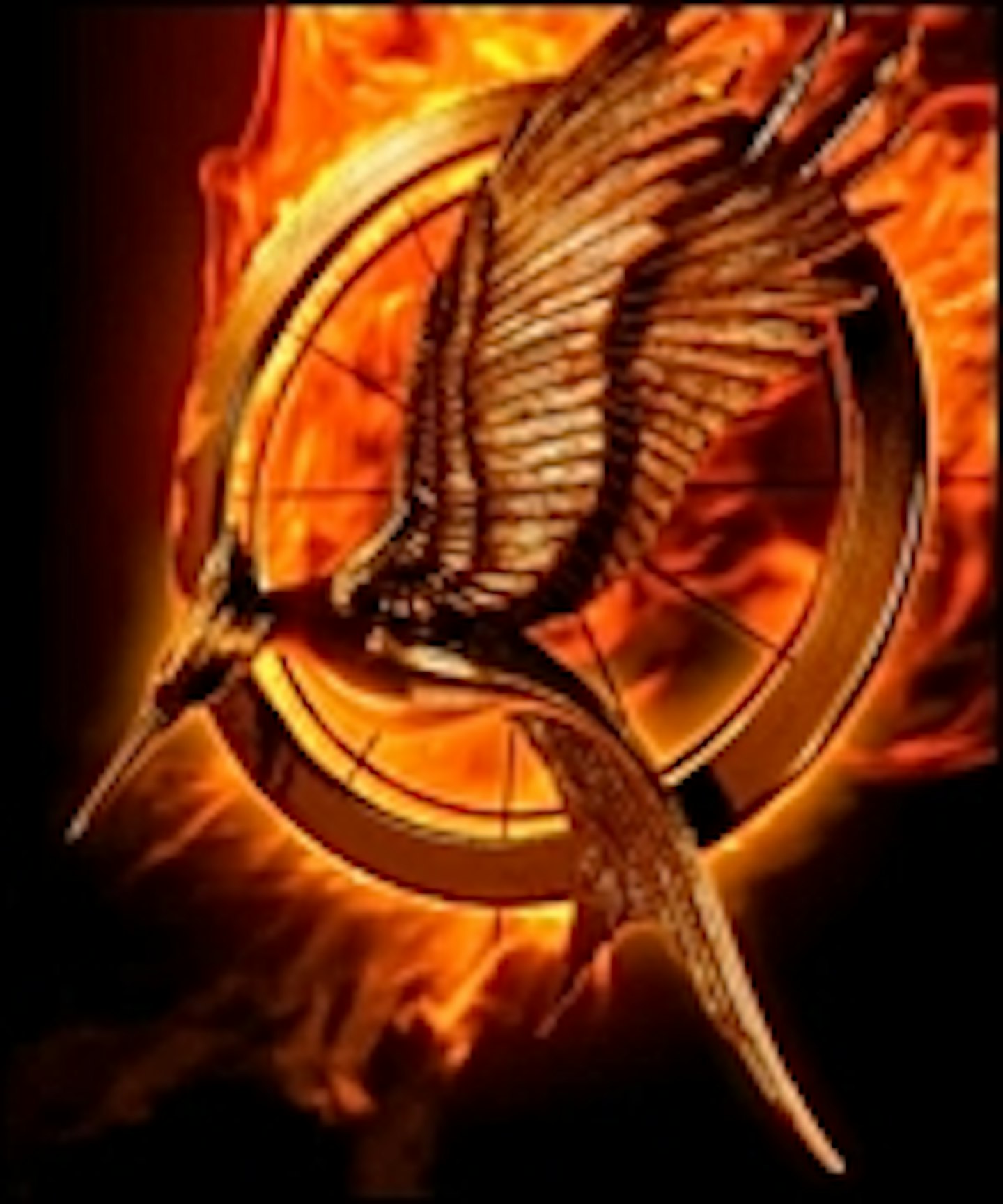 Catching Fire Motion Poster Online