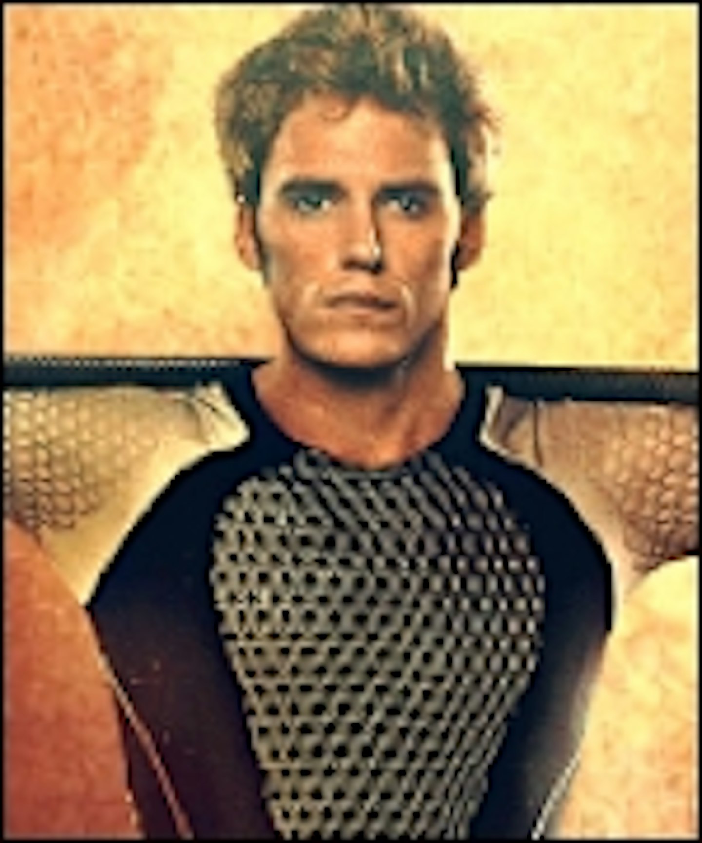 Full New Hunger Games: Catching Fire Banner Revealed