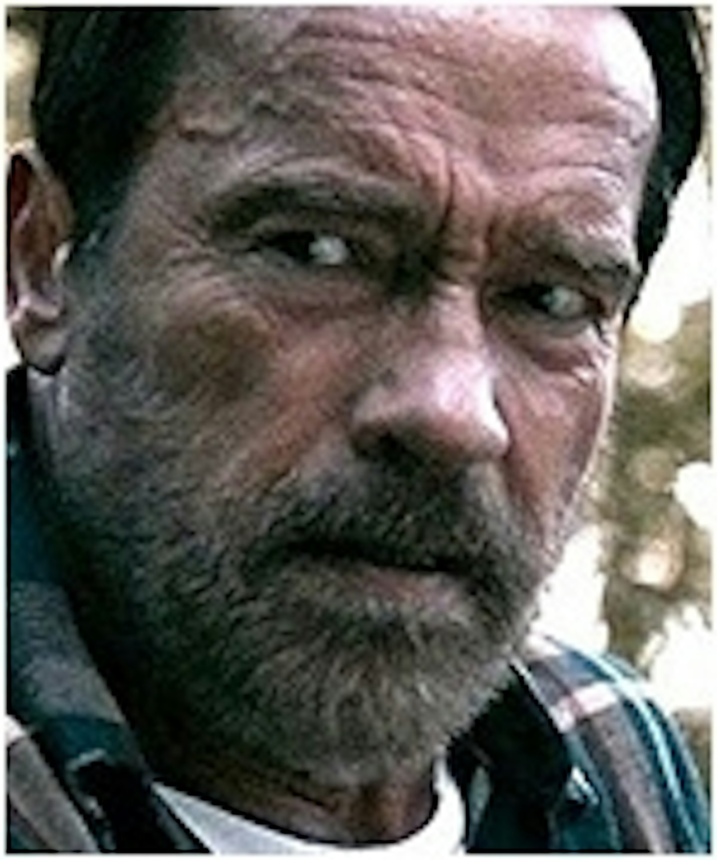 Schwarzenegger Vs Zombies In New Maggie Trailer