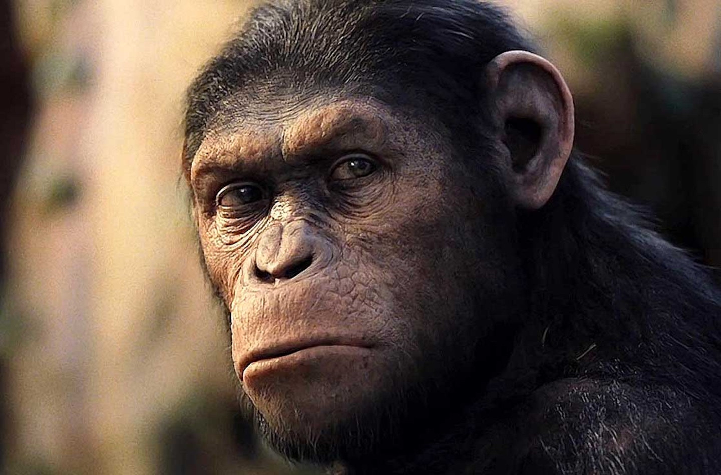 Comic-Con 2013: Dawn Of The Planet Of The Apes Unveiled