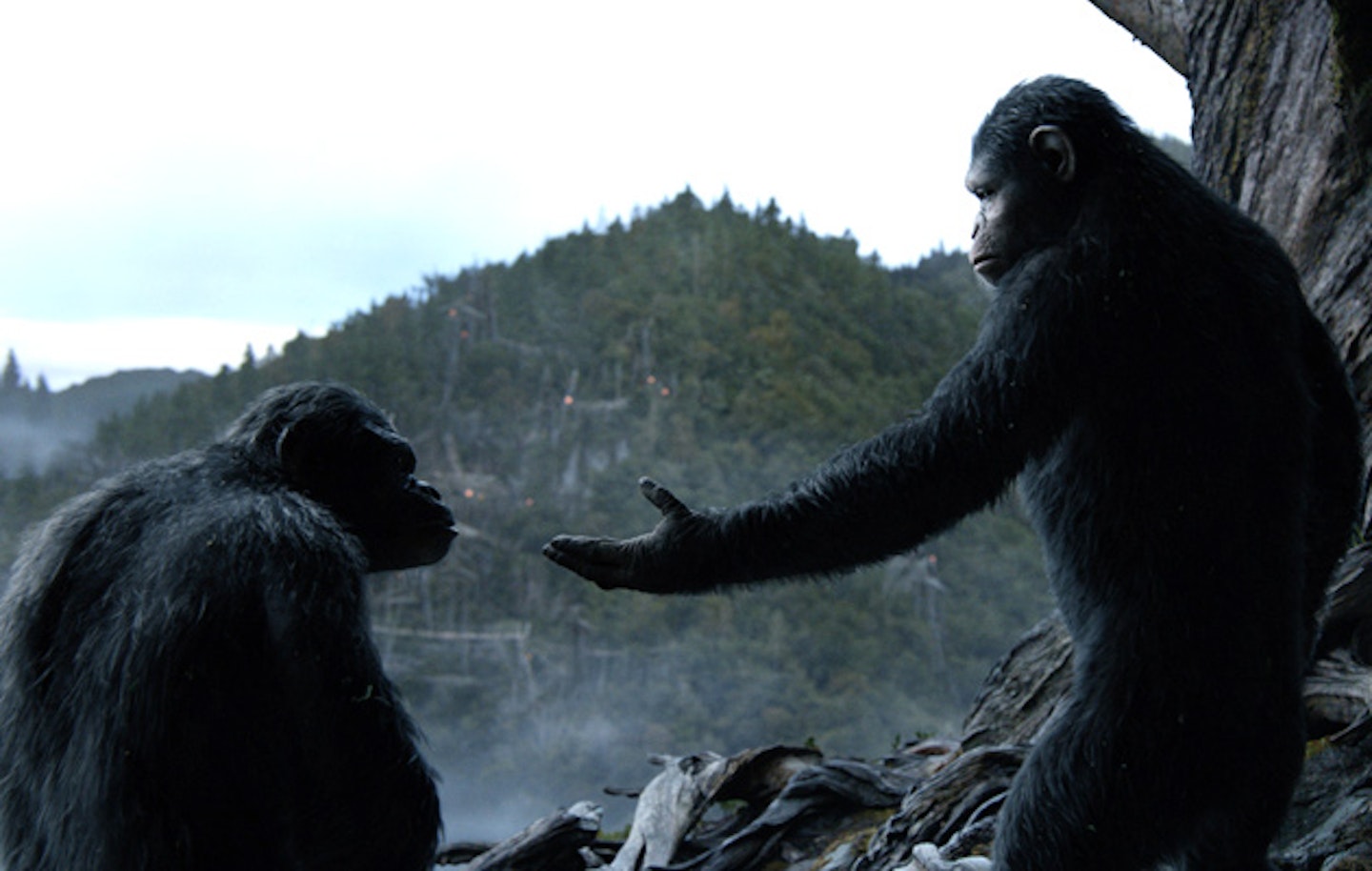 Worlds-first-look-at-dawn-of-planet-of-the-apes-footage