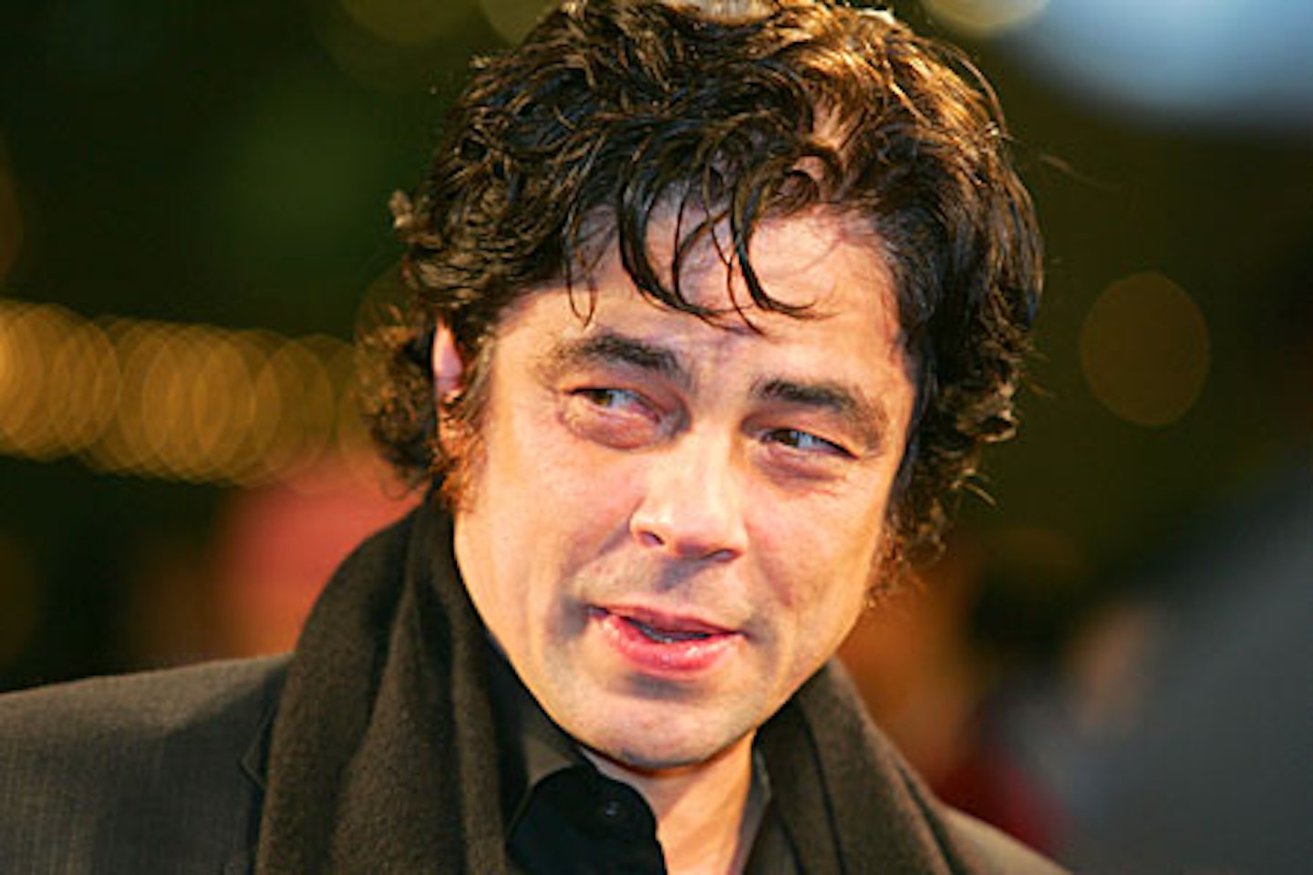 Benicio Del Toro Plans Inherent Vice