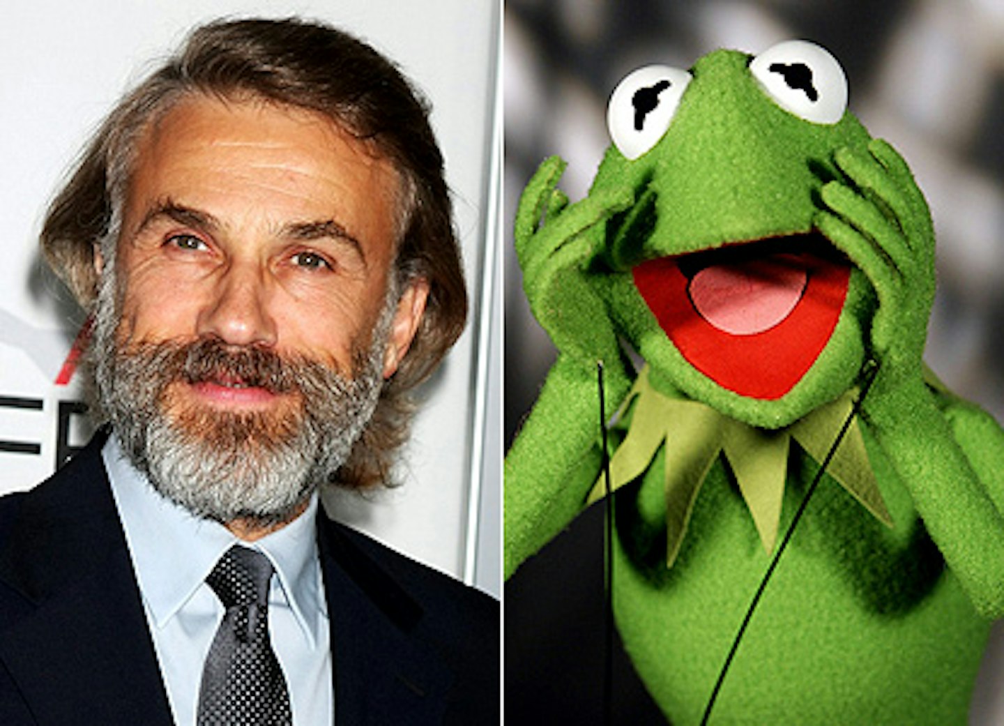 Christoph Waltz Will Meet The Muppets