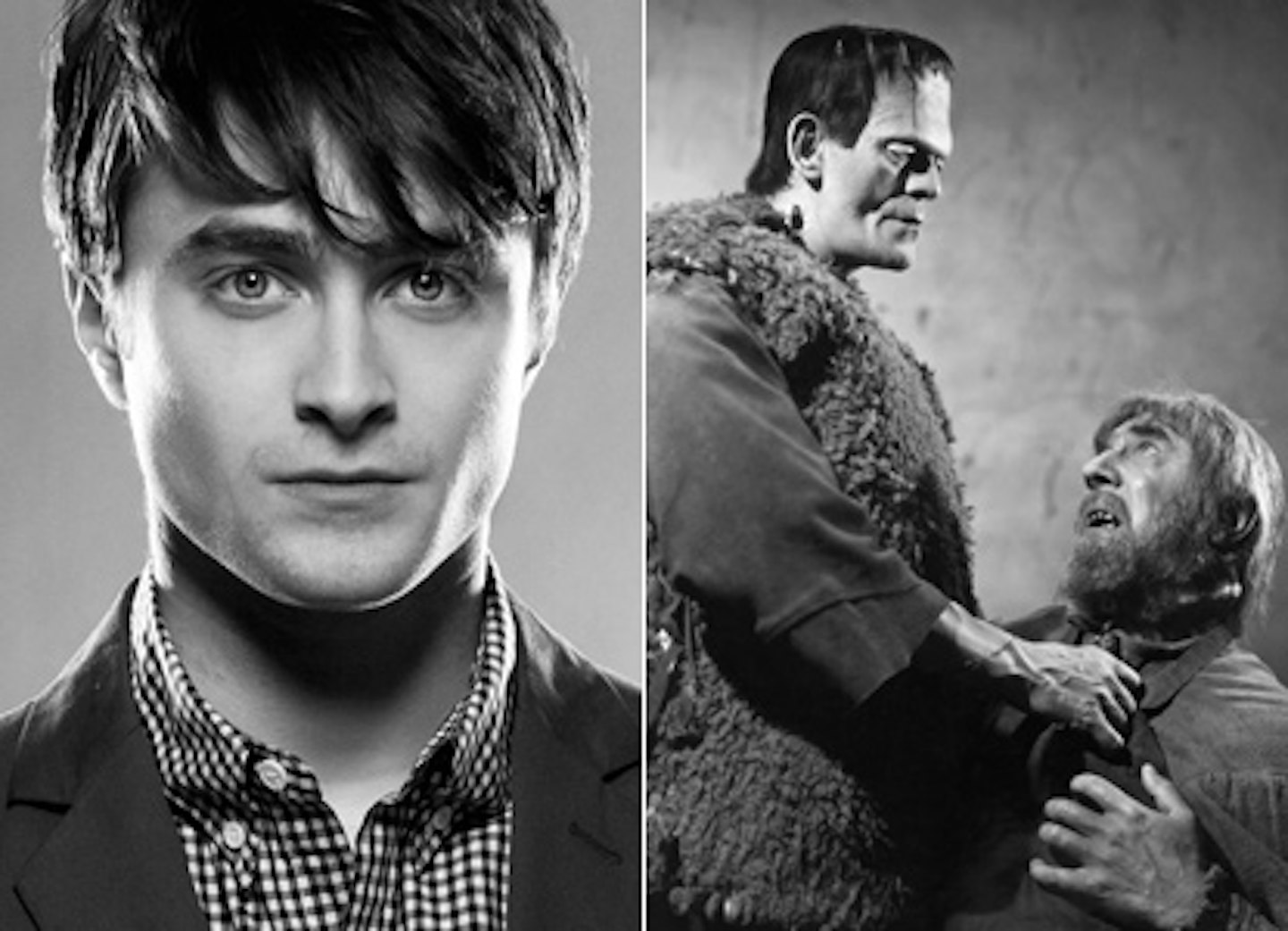 Daniel Radcliffe Wants To Be Igor
