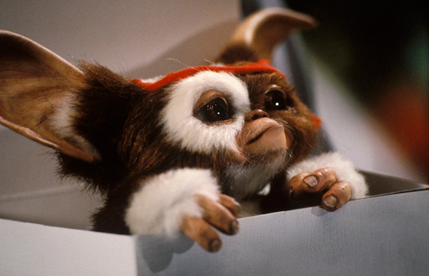 Gremlins Week The Evolution Of Gizmo Movies Empire Gremlins Week The Evolution Of Gizmo Movies Empire