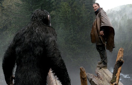 dawn of the planet of the apes bear