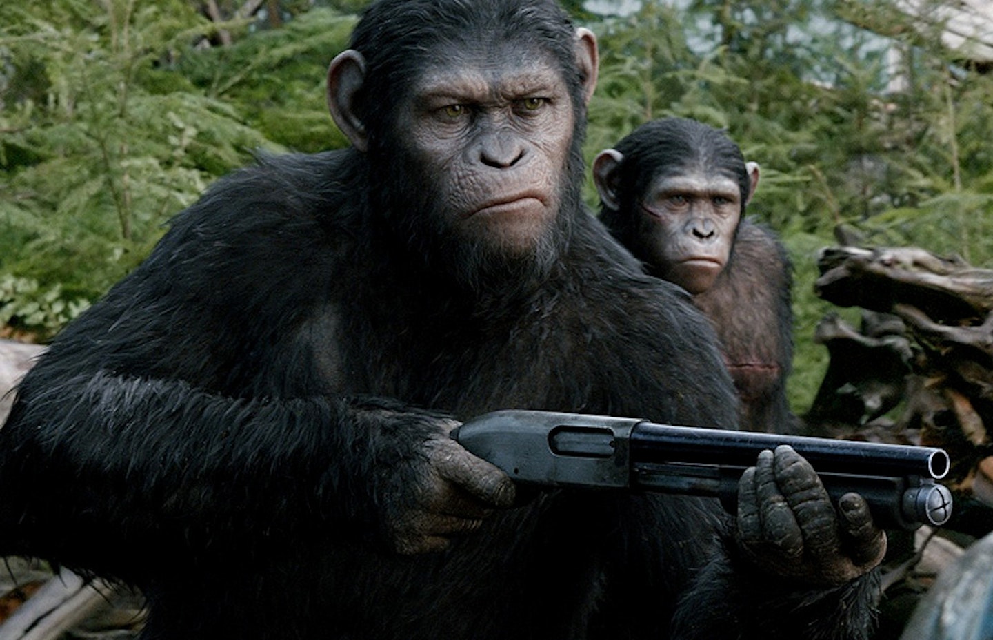 Dawn Of The Planet Of The Apes