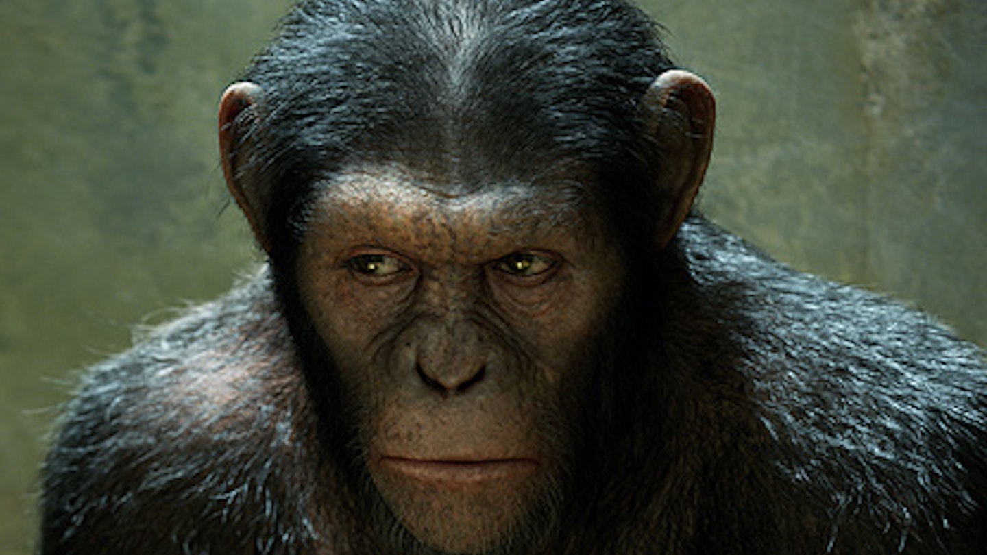 Fox Searching For New Apes Director