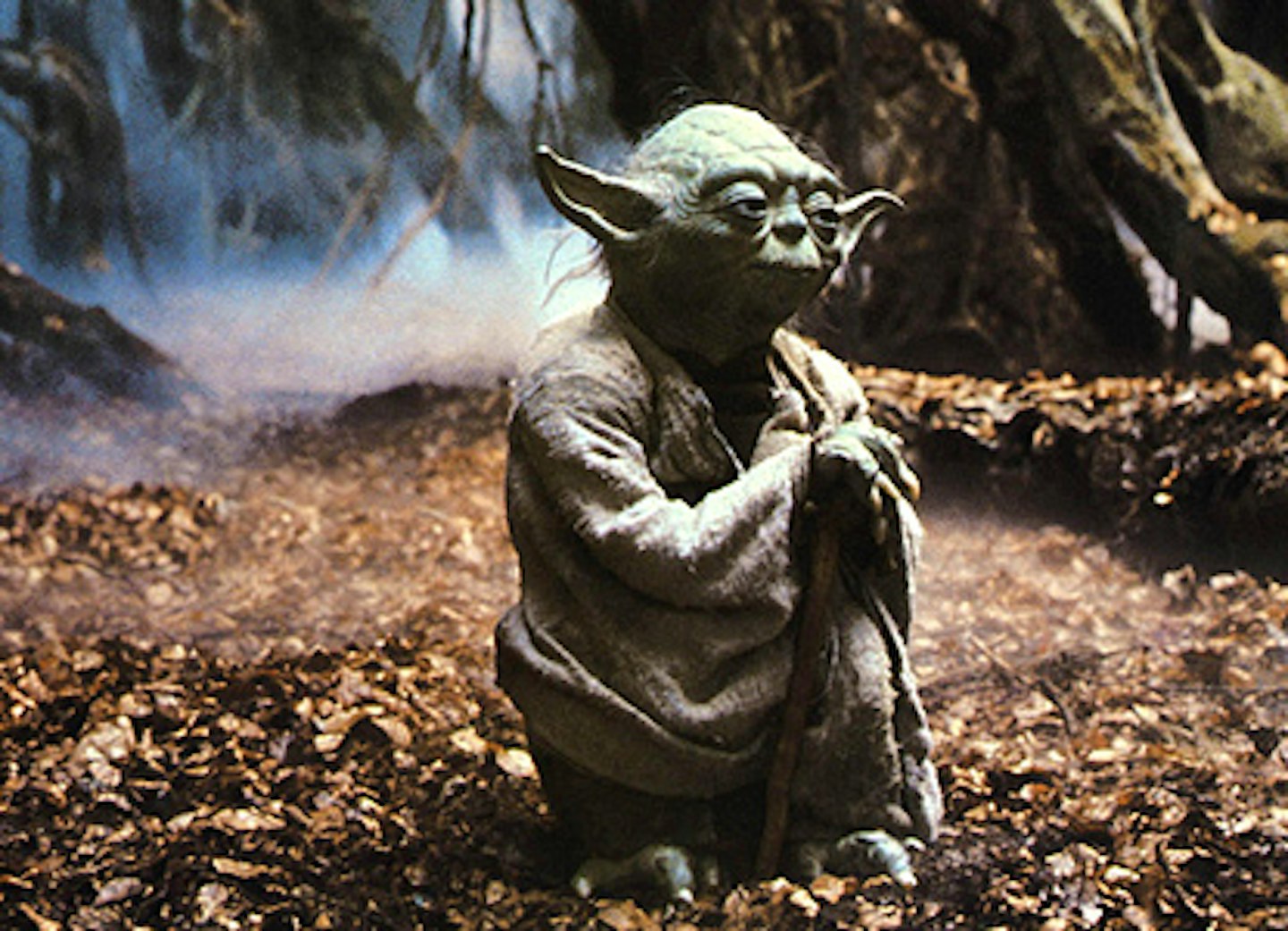 Star Wars: Episode V - The Empire Strikes Back, Yoda