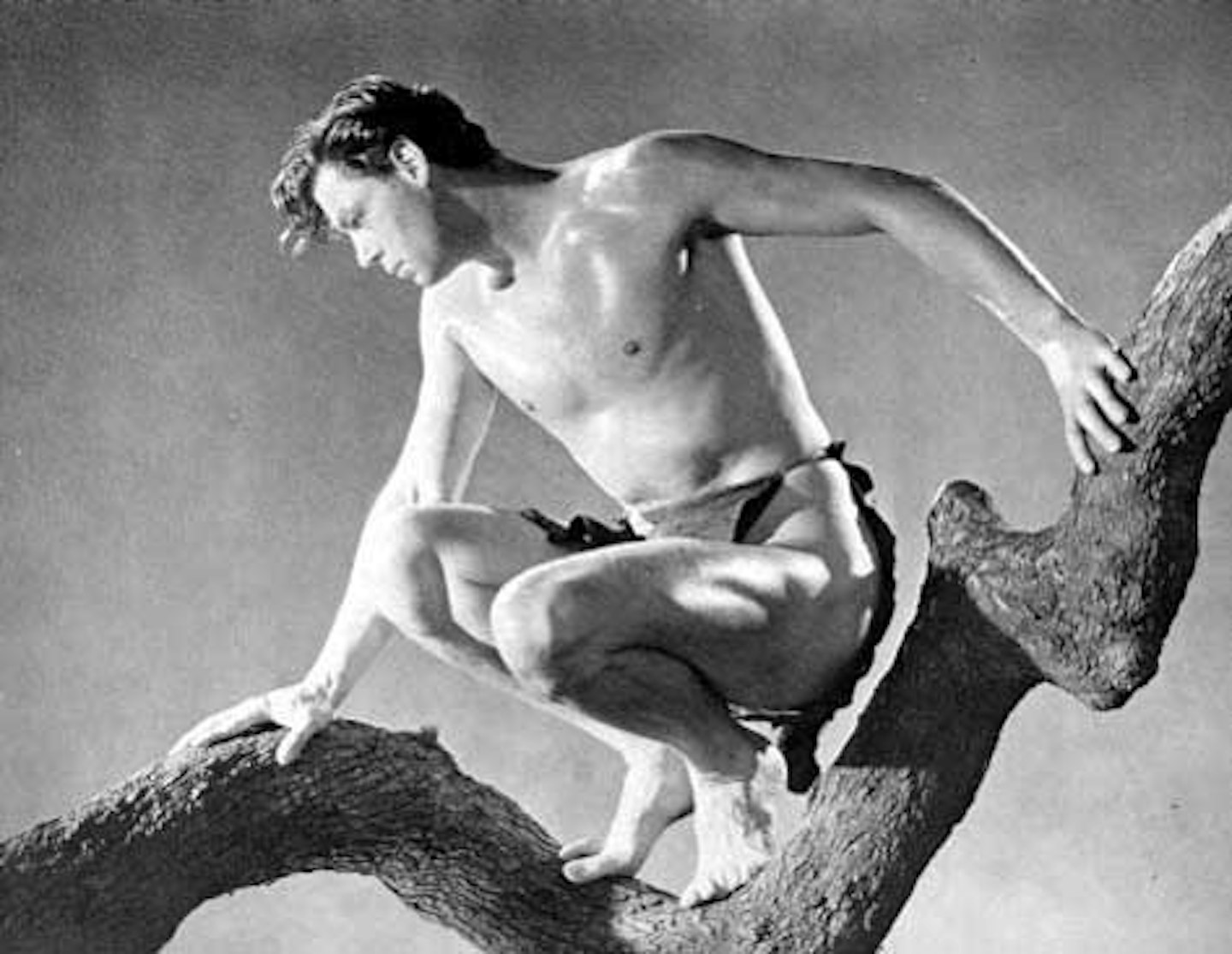 Warner Bros Gives Tarzan The Chop