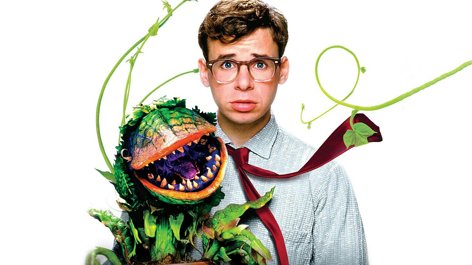 Little Shop of Horrors Review Movie Empire