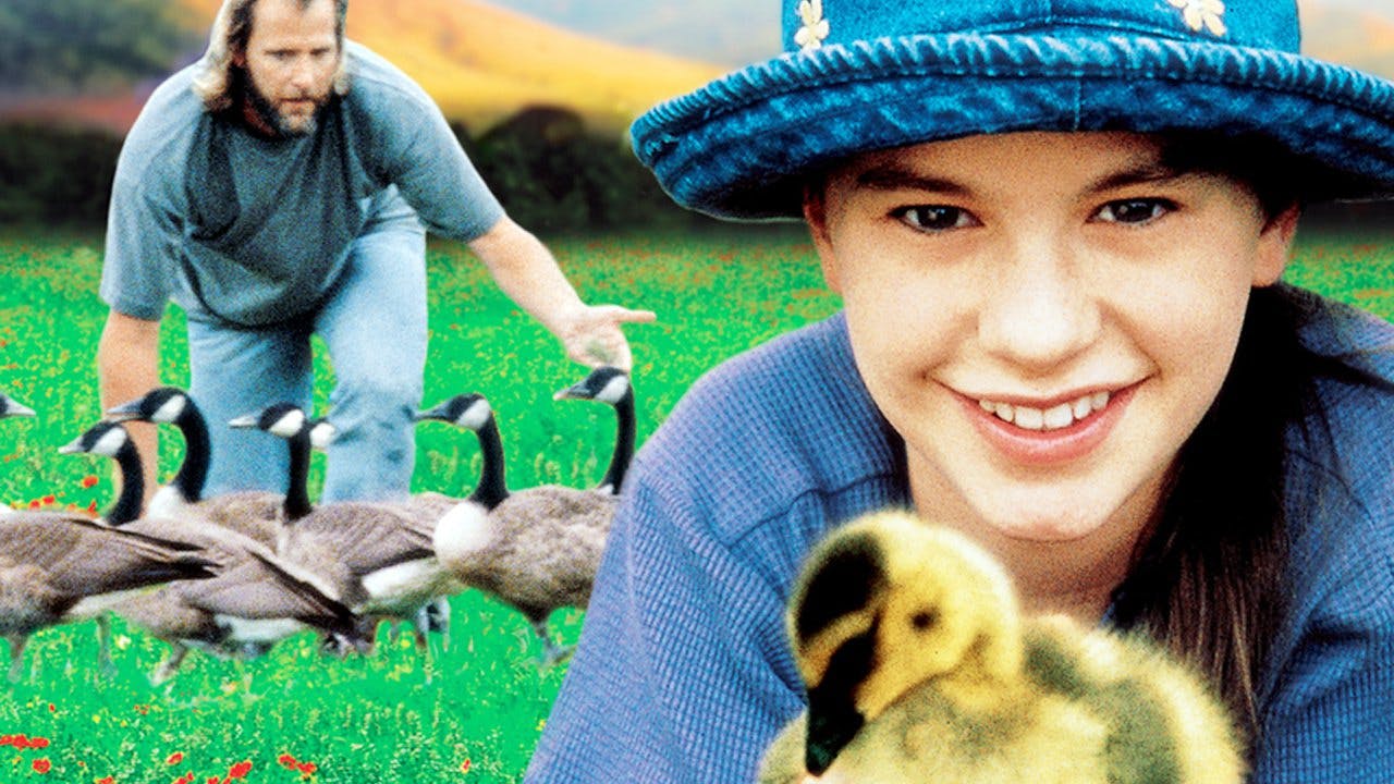 Fly Away Home Review Movie Empire