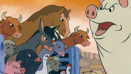 Animal Farm Review | Movie - Empire