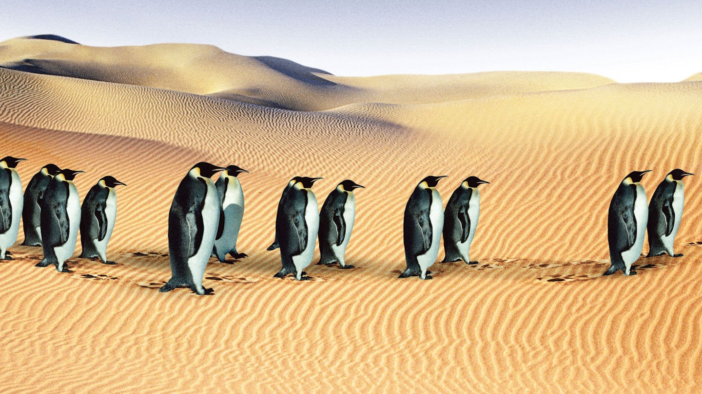 An Inconvenient Truth